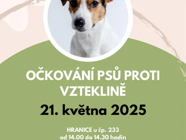 Očkování psů proti vzteklině